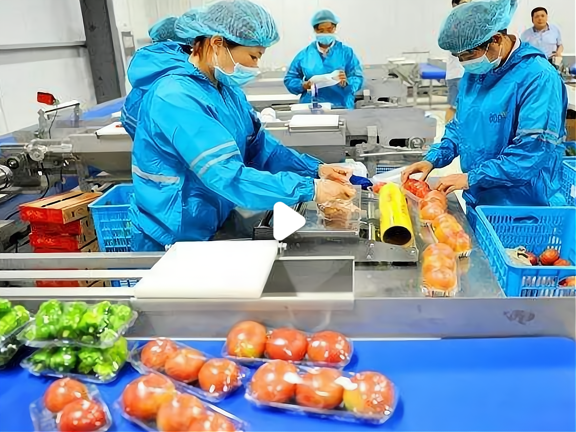 小型组装加工项目加盟费多少钱(小型组装加工项目加盟费多少钱一个月)