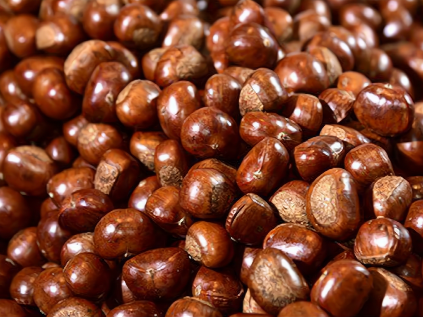 岭峥炒栗加盟怎么样?相关信息看下文