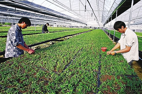 从农田到餐桌：农村种植行业的全产业链解析！_加盟星百度招商加盟服务平台