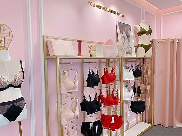 创业加盟情趣内衣店,女性市场的无限商机!