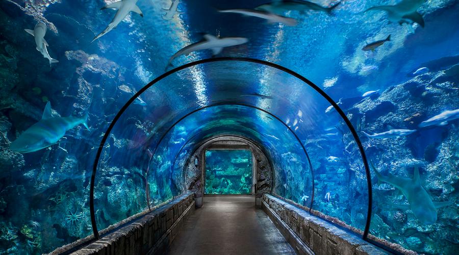 米加小镇水族馆图片