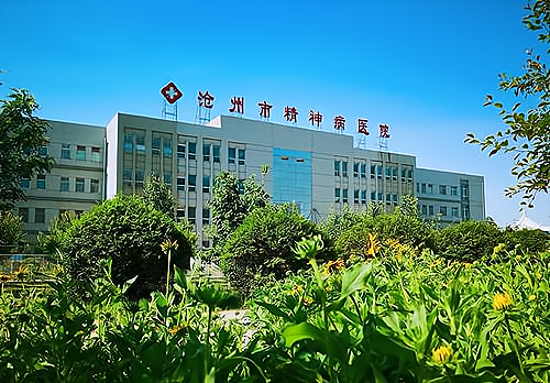 河北省看精神病的医院哪家好(河北省治疗精神病最好医院排名)