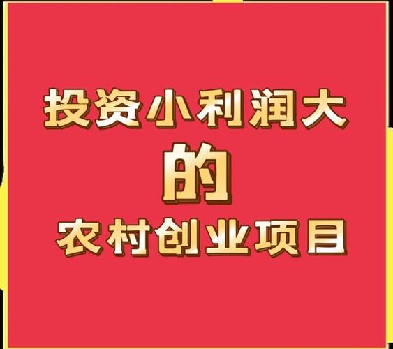 农村有哪些创业机会(农村创业有什么好的项目)