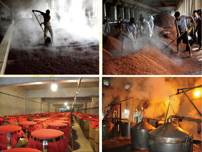 有什么白酒加盟加工店，有什么白酒加盟加工